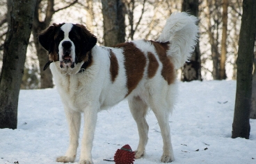 30