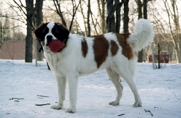 34