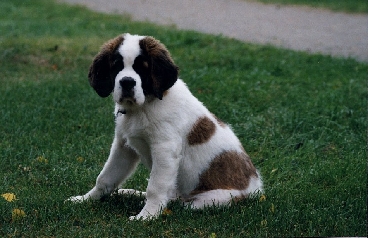 Image10