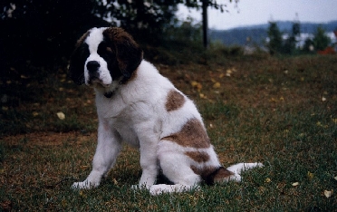 Image12