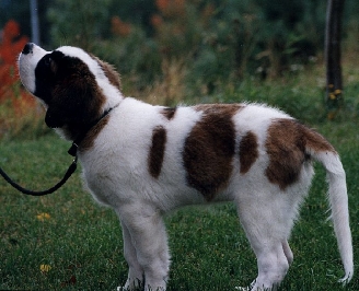 Image13