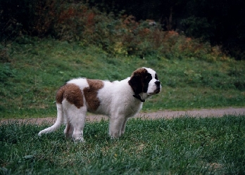 Image16