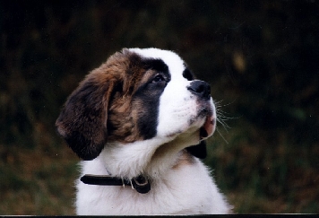 Image20