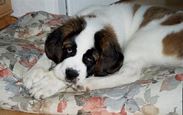 Image3