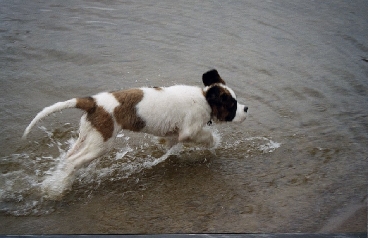 Image46