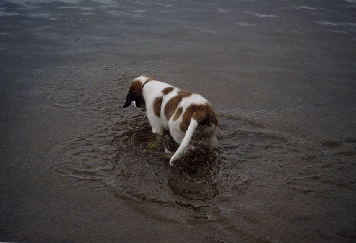 Image47