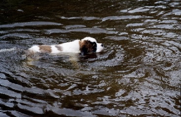 Image49