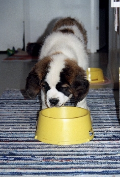 Image50