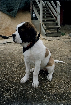 Image52