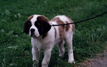Image9